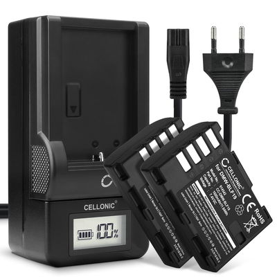 2x Ersatz Akku DMW-BLF19E + Ladegerät DMW-BTC10 für Panasonic GH5 Lumix DC-GH5 DC-GH5s Lumix DMC-GH4 GH4 GH4r GH4h GH3 DMC-GH3h GH3a G9 DC-G9 Kamera - 1600mAh Ersatzakku Batterie, Ladekabel, Akkuladegerät