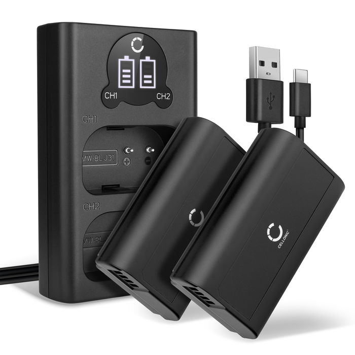 2x Akku für Panasonic DMW-BLJ31 Ersatzakku 2200mAh Batterie + Dual Ladegerät