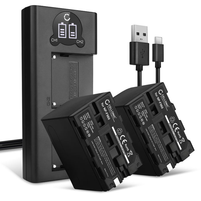 2x Sony DCR-TRV900 Akku + Dual Ladegerät 6600mAh Ersatzakku Batterie von CELLONIC