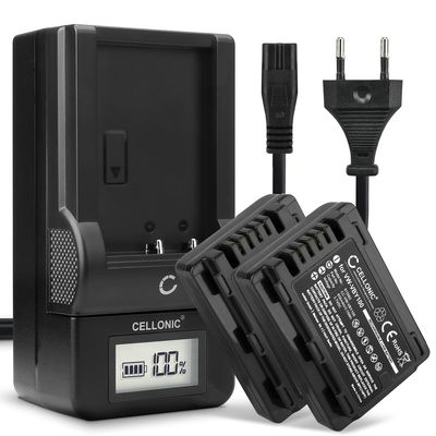 2x Ersatz Akku VW-VBY100 + Ladegerät für Panasonic HC-V110, HC-V130, HC-V201 Kamera - 850mAh Ersatzakku Batterie, Ladekabel, Akkuladegerät