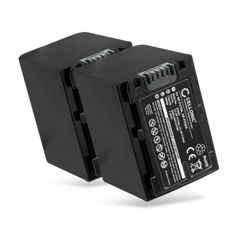 2x NP-FV100A NP-FV70A NP-FV90A NP-FV50A Ersatz Akku für Sony FDR-AX100 FDR-AX53 FDR-AX700 HXR-NX80 HDR-CX625 CX450 - Kamera Ersatzakku - Kameraakku 2050mAh, Batterie